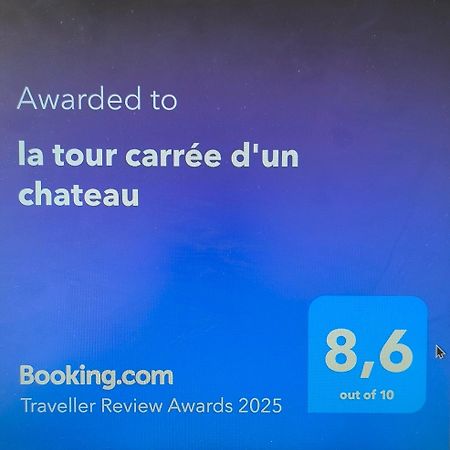 La Tour Carree D'Un Chateau Auzouer-en-Touraine 外观 照片
