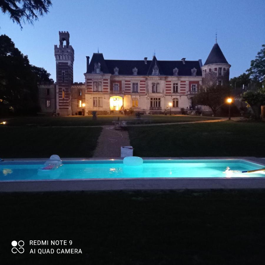 La Tour Carree D'Un Chateau Auzouer-en-Touraine 外观 照片