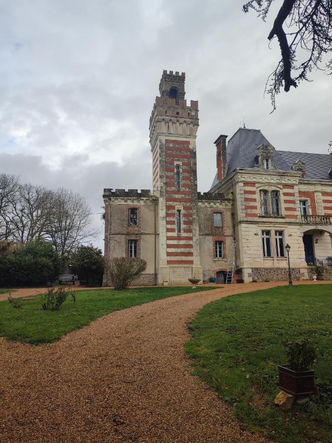 La Tour Carree D'Un Chateau Auzouer-en-Touraine 外观 照片