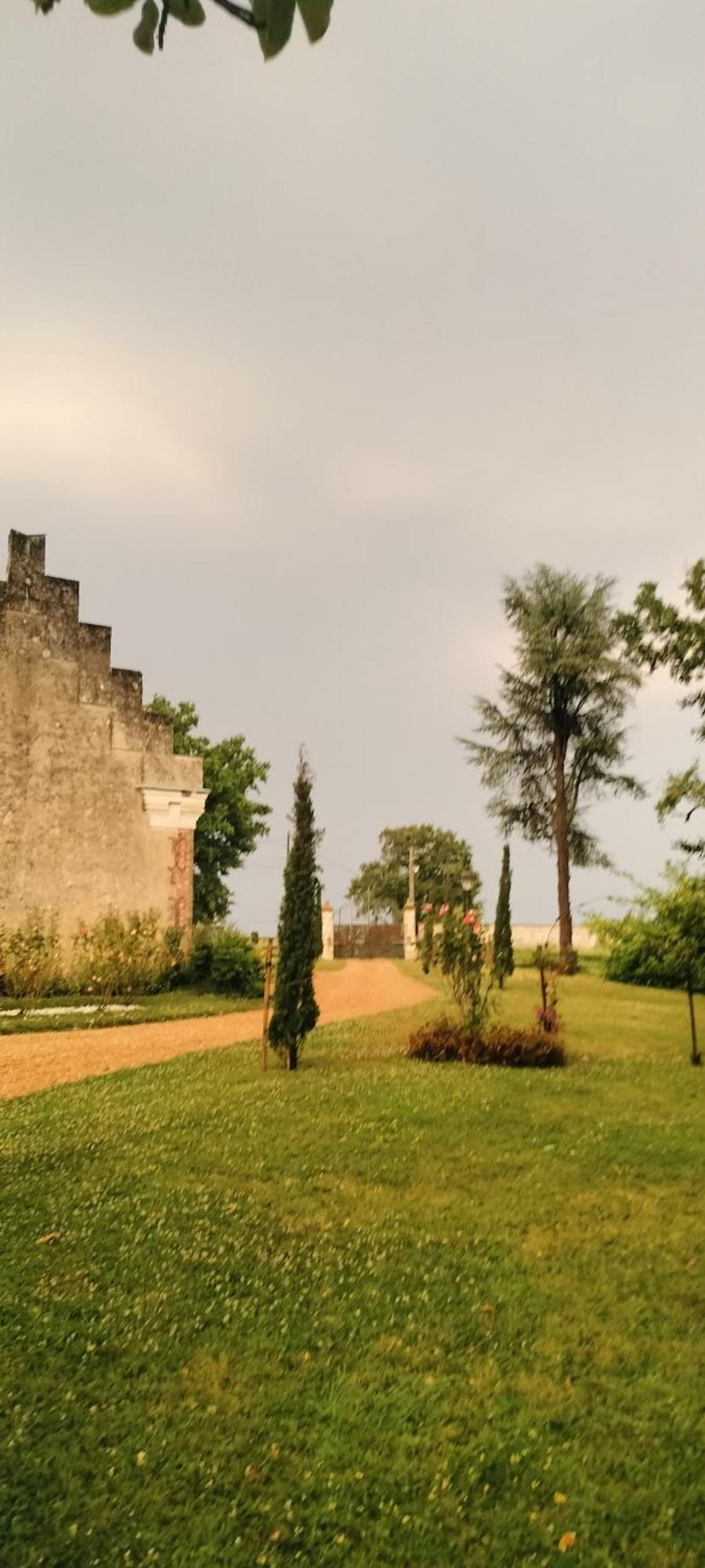 La Tour Carree D'Un Chateau Auzouer-en-Touraine 外观 照片